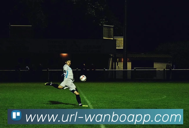 App Interface Preview