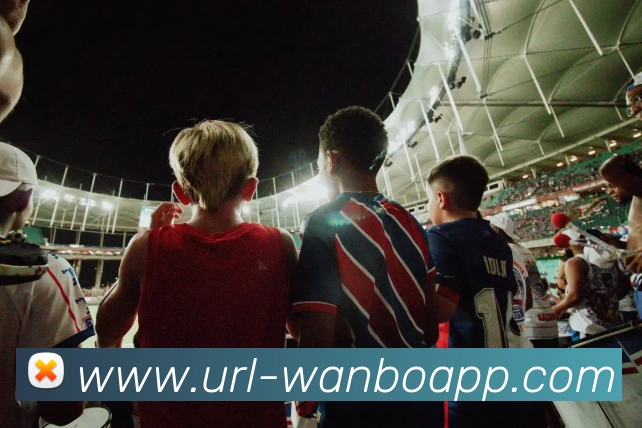 万博体育APP 封面图